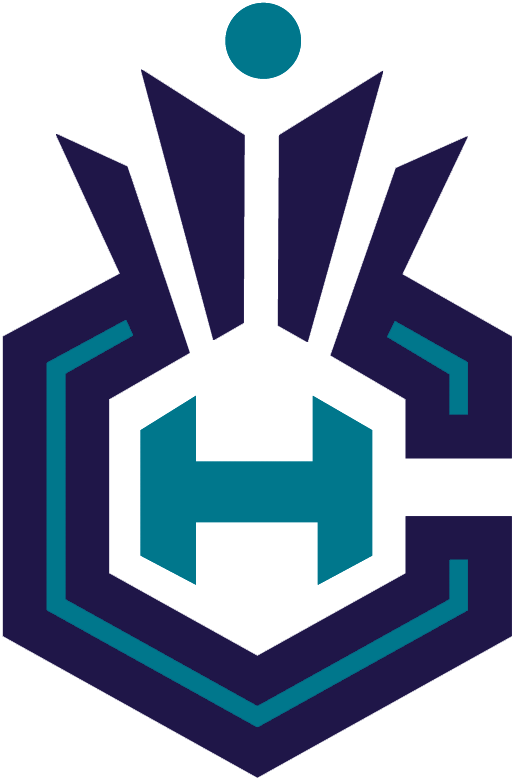 Charlotte Hornets 2014-Pres Alternate Logo v5 DIY iron on transfer (heat transfer)